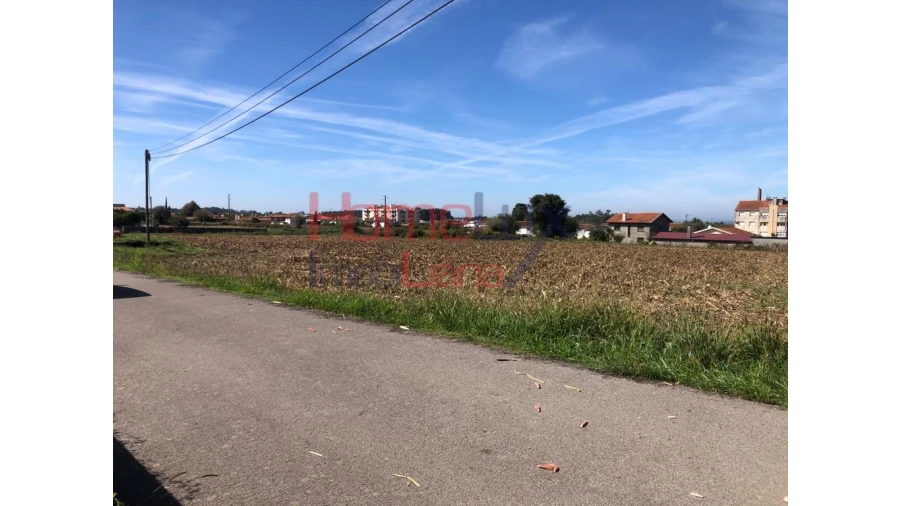 Terreno para Venda em Branca Foto 2