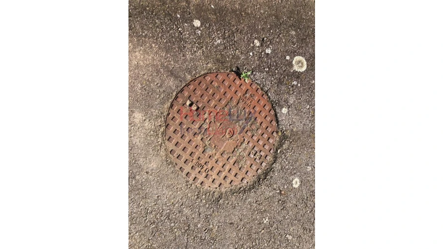 Terreno para Venda em Branca Foto 4