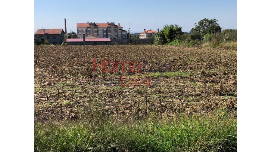 Terreno para Venda em Branca Foto 5