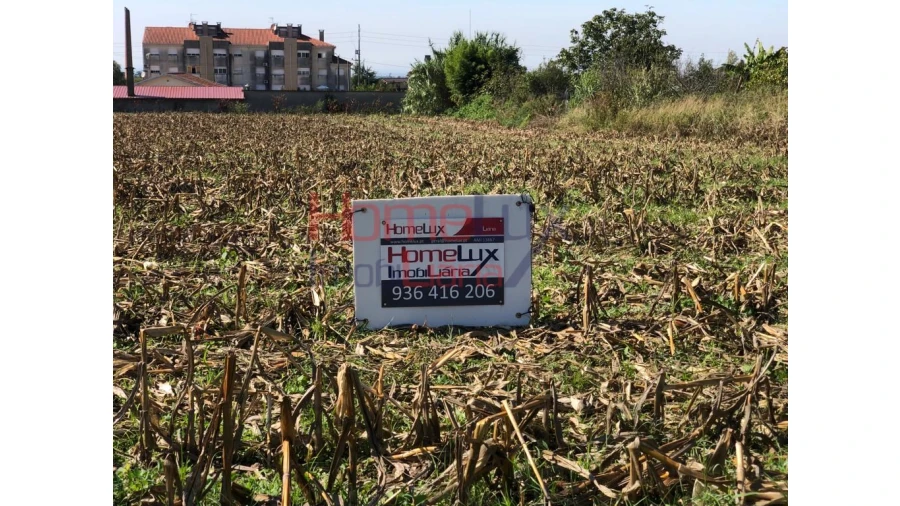 Terreno para Venda em Branca Foto 6