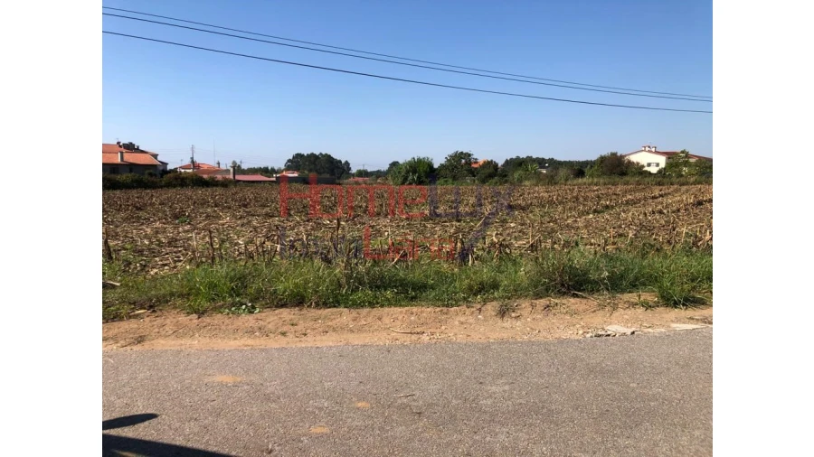Terreno para Venda em Branca Foto 9