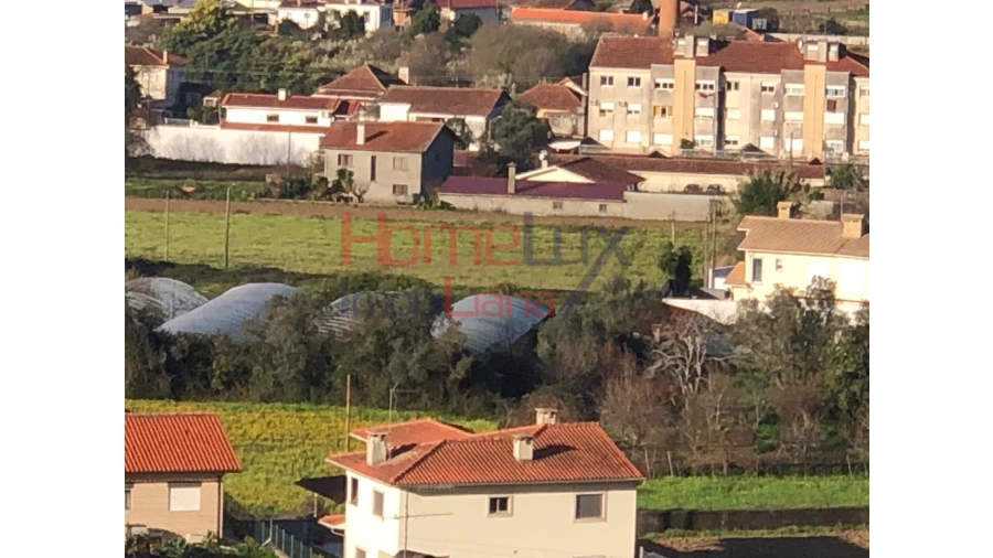 Terreno para Venda em Branca
