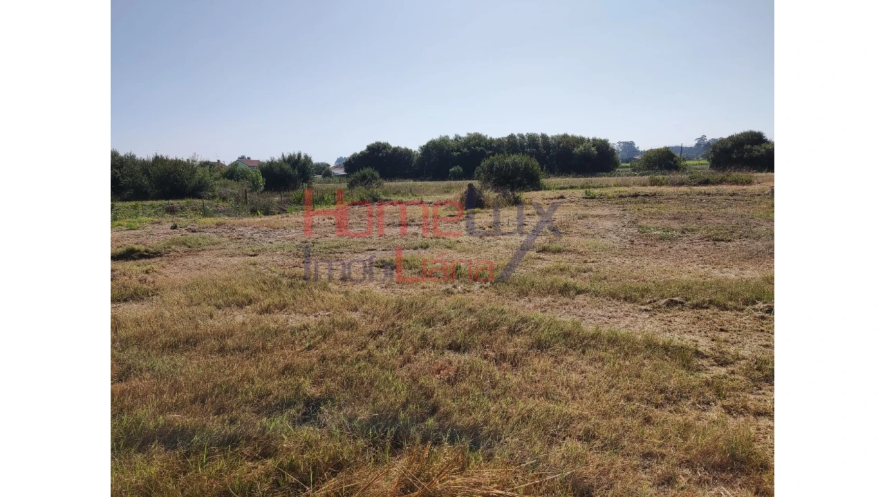 Terreno para Venda em Ílhavo (São Salvador) Foto 6