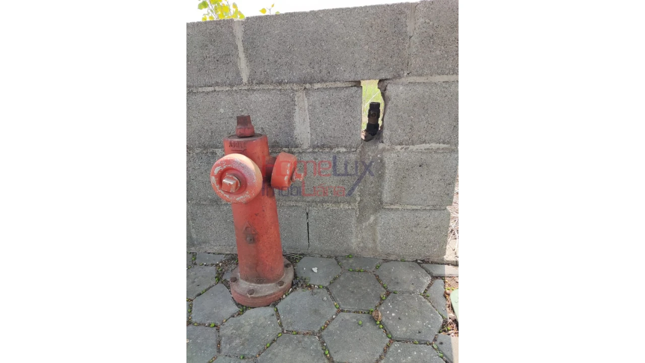 Terreno para Venda em Ílhavo (São Salvador) Foto 15