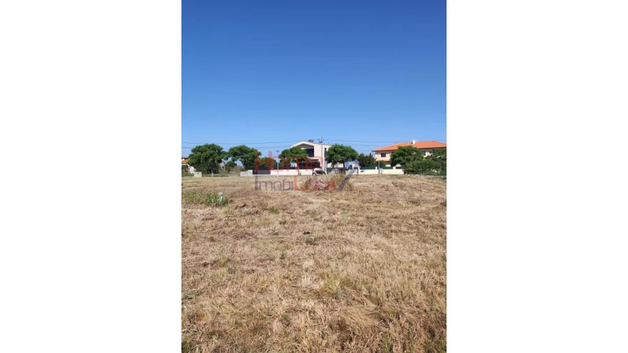 Terreno para Venda em Ílhavo (São Salvador) Foto 2