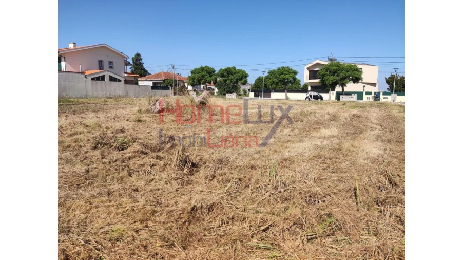 Terreno para Venda em Ílhavo (São Salvador) Foto 4