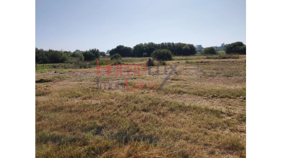 Terreno para Venda em Ílhavo (São Salvador) Foto 6