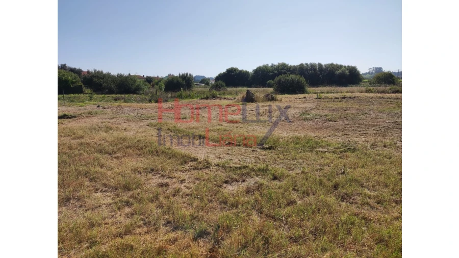 Terreno para Venda em Ílhavo (São Salvador) Foto 7