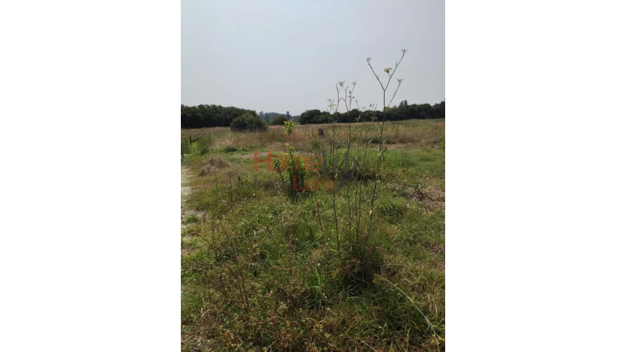 Terreno para Venda em Ílhavo (São Salvador) Foto 9