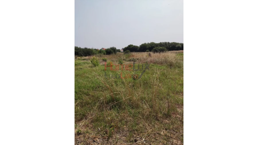 Terreno para Venda em Ílhavo (São Salvador) Foto 19