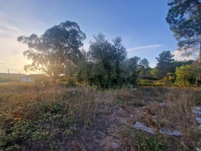 Terreno para Venda em Mouronho Foto 9