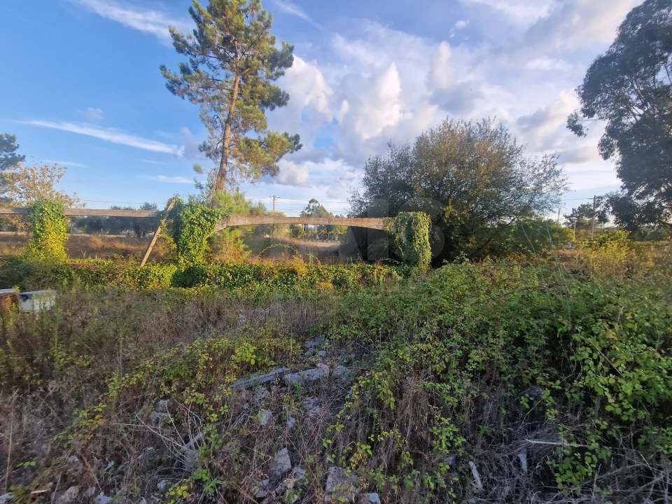 Terreno para Venda em Mouronho Foto 5