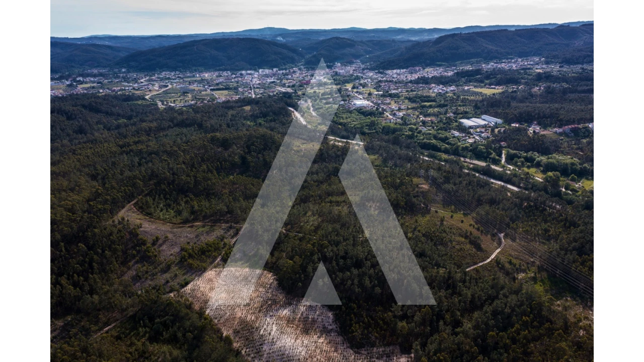 Terreno para Venda em Miranda do Corvo Foto 4