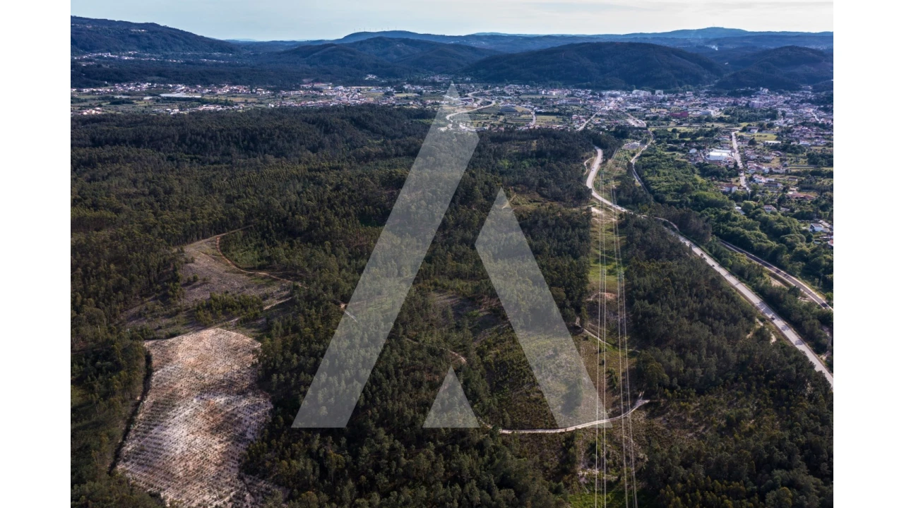 Terreno para Venda em Miranda do Corvo Foto 6