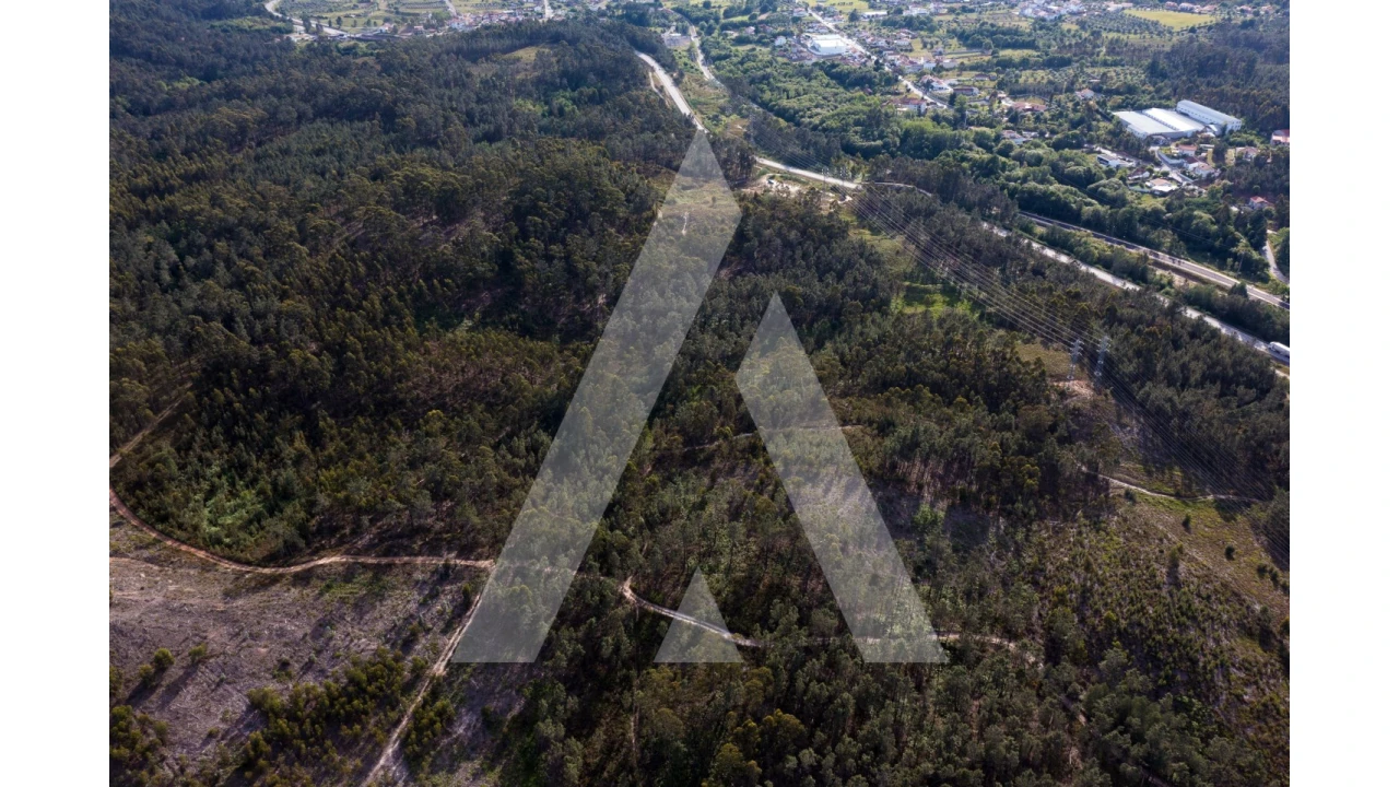 Terreno para Venda em Miranda do Corvo Foto 9