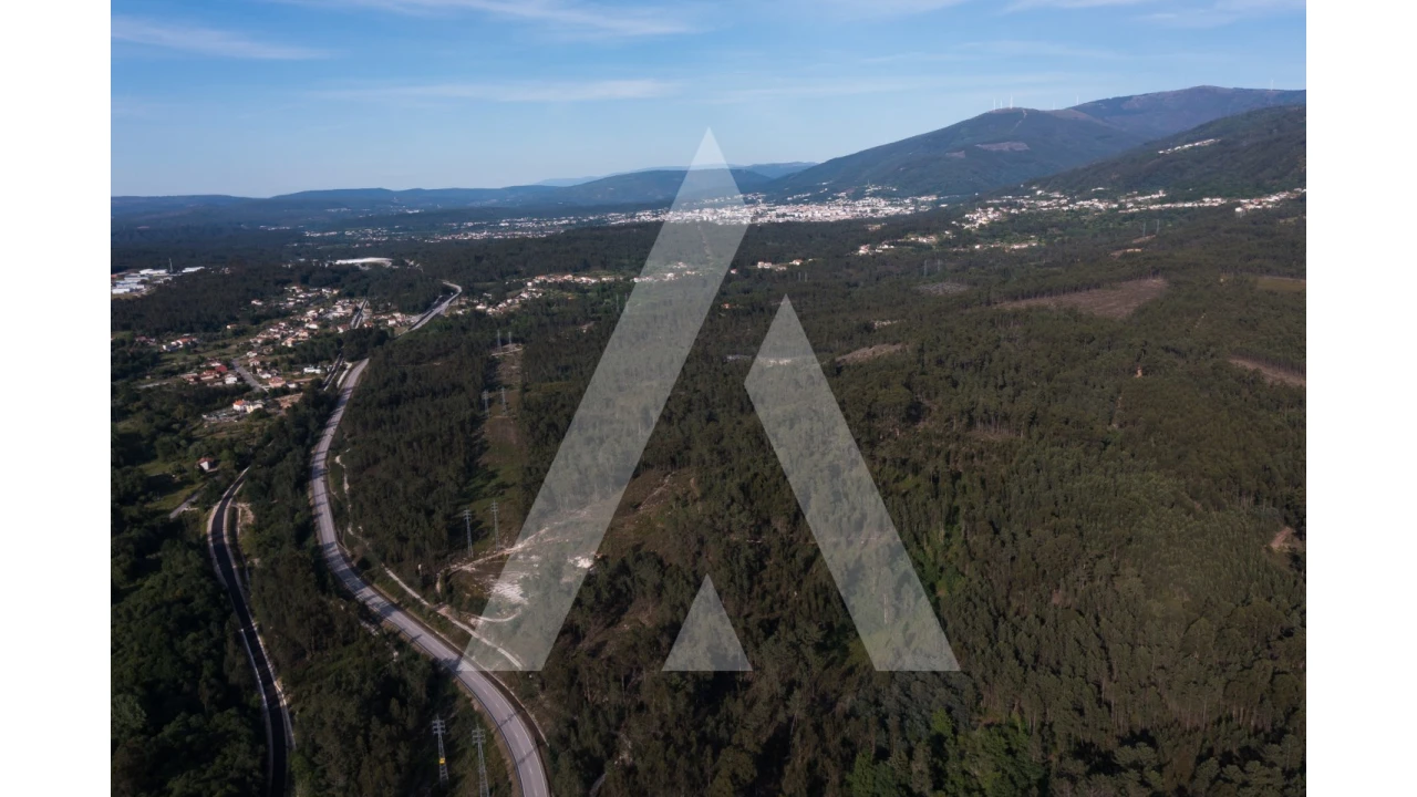 Terreno para Venda em Miranda do Corvo Foto 13