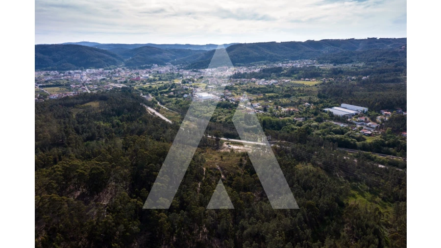 Terreno para Venda em Miranda do Corvo Foto 3