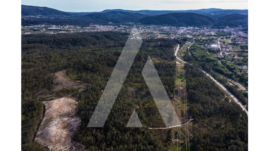 Terreno para Venda em Miranda do Corvo Foto 6