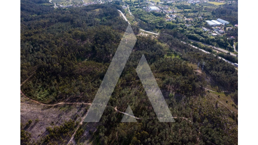 Terreno para Venda em Miranda do Corvo Foto 9