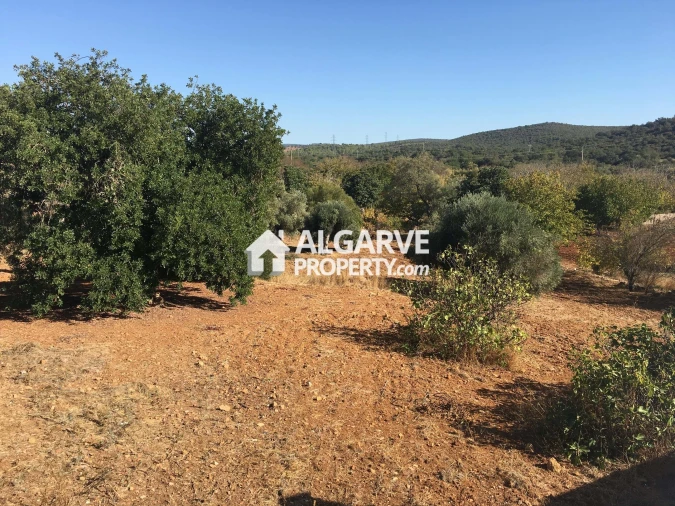 Terreno para Venda em Loule (São Clemente) Foto 9