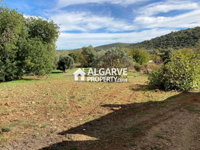 Terreno para Venda em Loule (São Clemente) Foto 12
