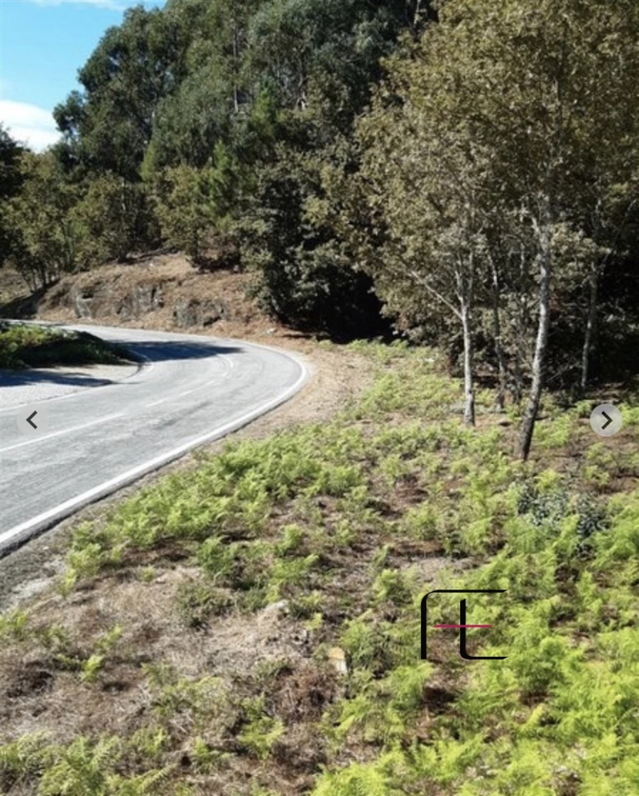 Terreno para Venda em Campelo e Ovil Foto 2