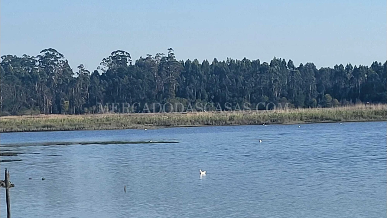 Quinta T2 para Venda em Valega Foto 19