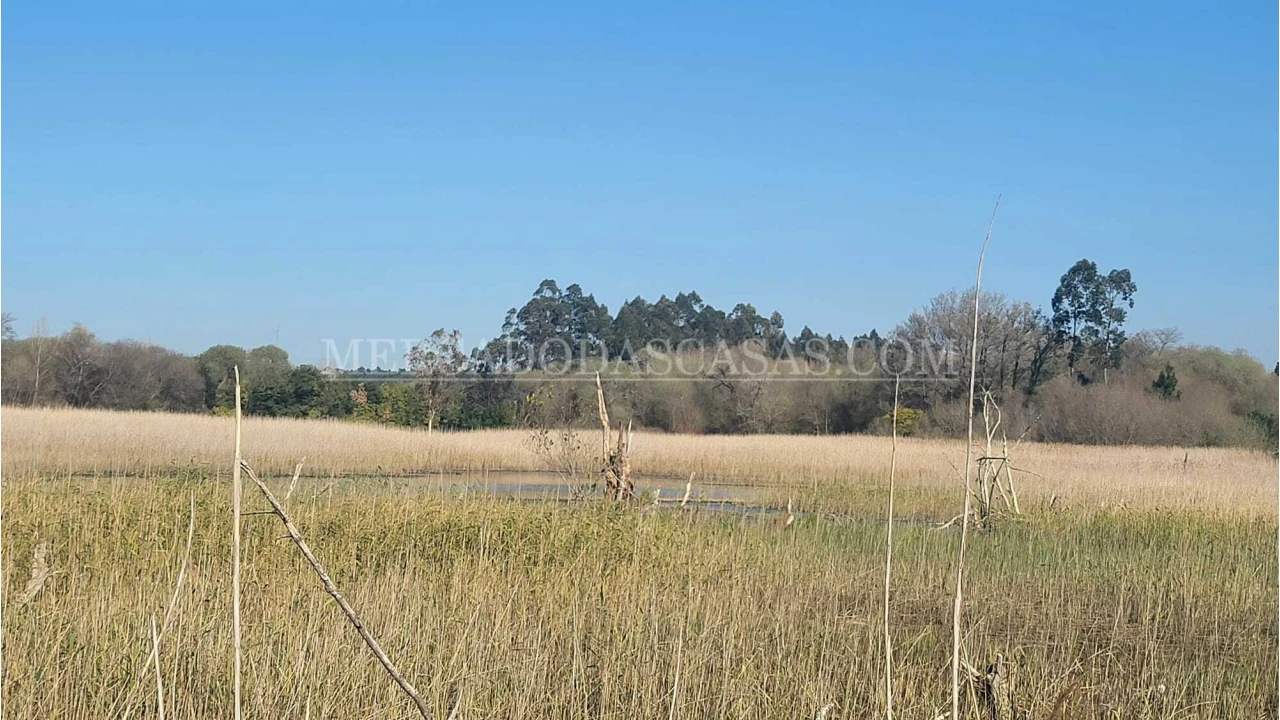 Quinta T2 para Venda em Valega Foto 12