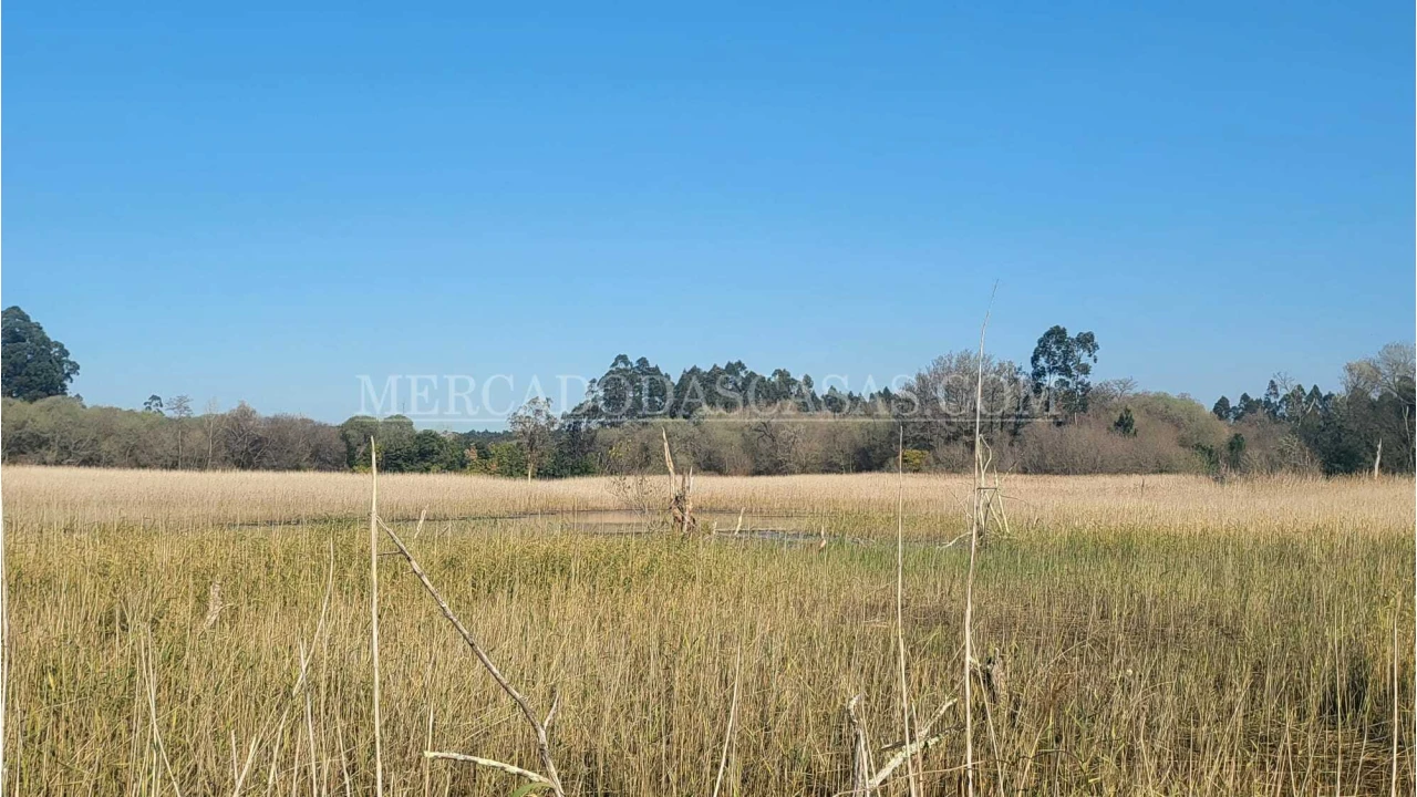 Quinta T2 para Venda em Valega Foto 20