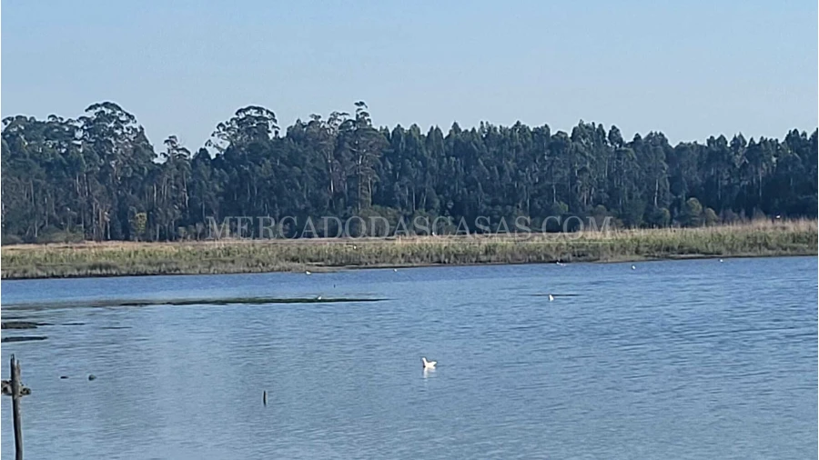 Quinta T2 para Venda em Valega Foto 19