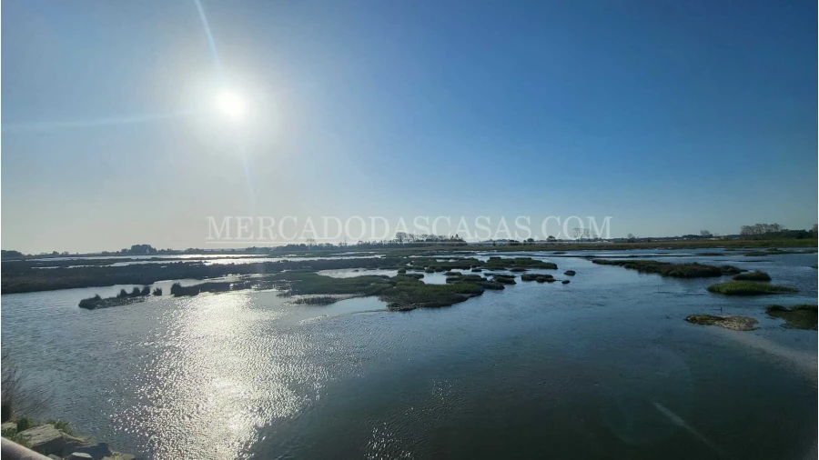 Quinta T2 para Venda em Valega Foto 7