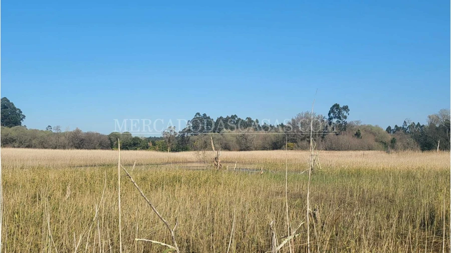 Quinta T2 para Venda em Valega Foto 20