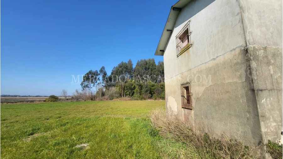 Quinta T2 para Venda em Valega Foto 2