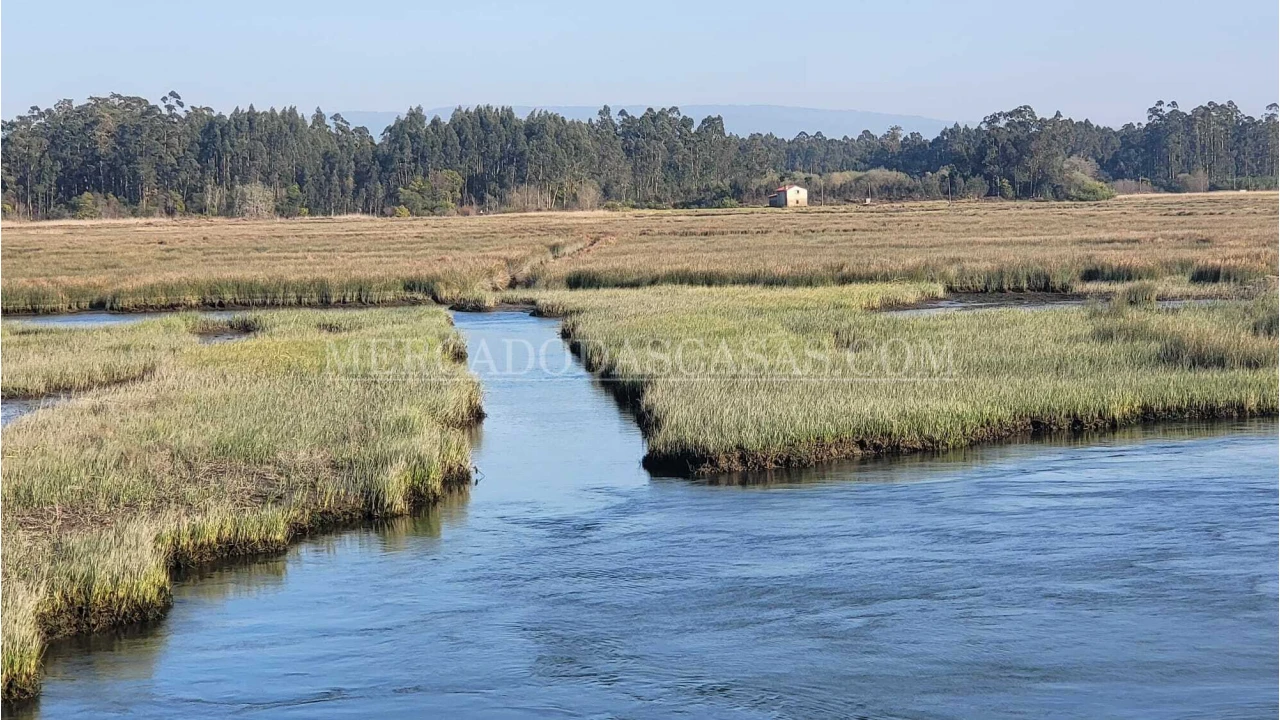 Quinta T2 para Venda em Valega Foto 10