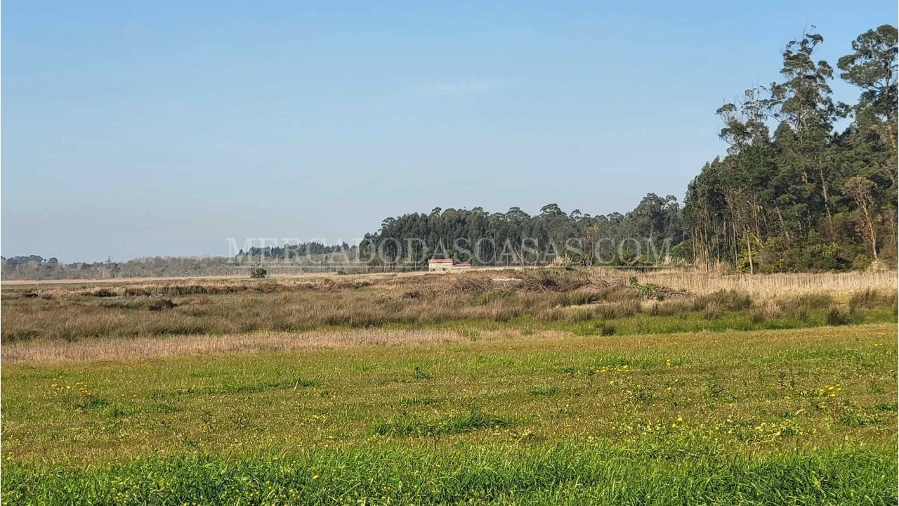 Quinta T2 para Venda em Valega Foto 3