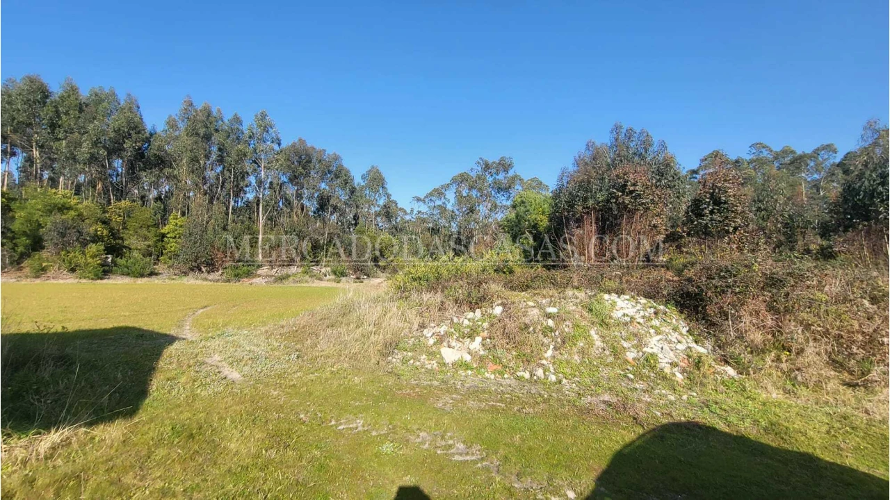 Quinta T2 para Venda em Valega Foto 4