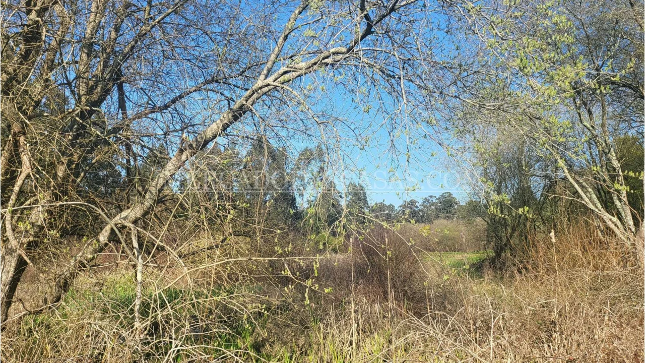 Quinta T2 para Venda em Valega Foto 11