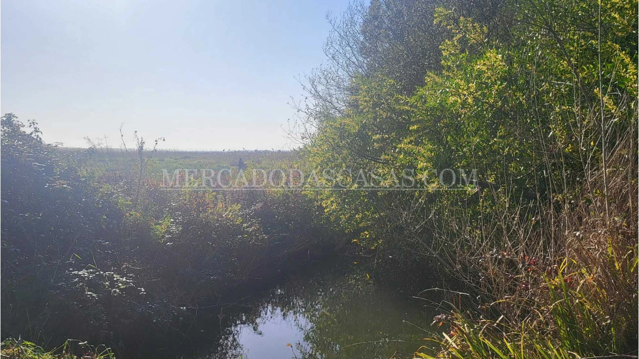 Quinta T2 para Venda em Valega Foto 14