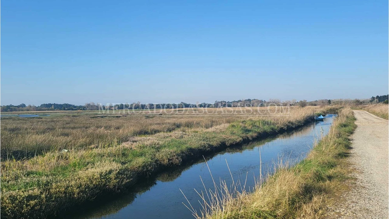 Quinta T2 para Venda em Valega Foto 17