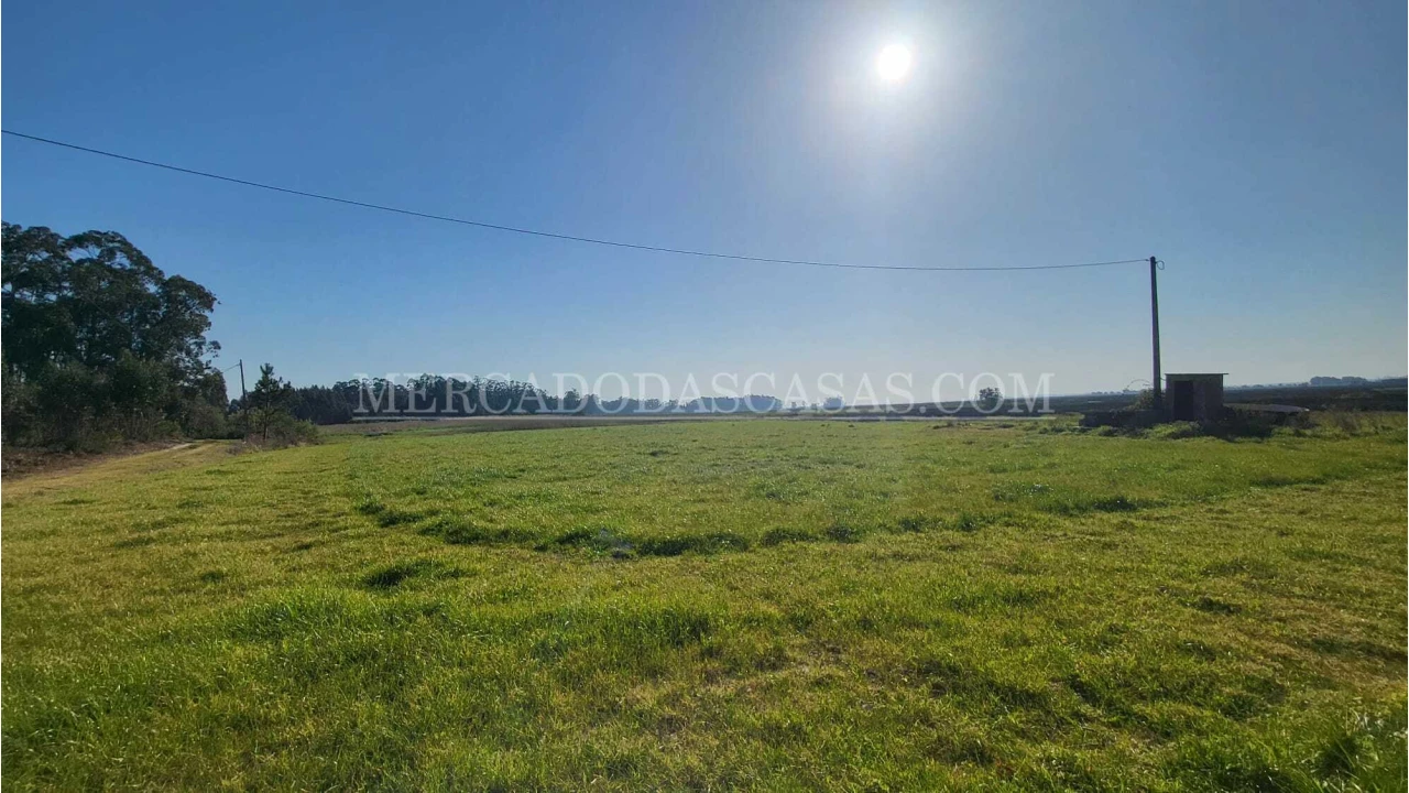 Quinta T2 para Venda em Valega Foto 5