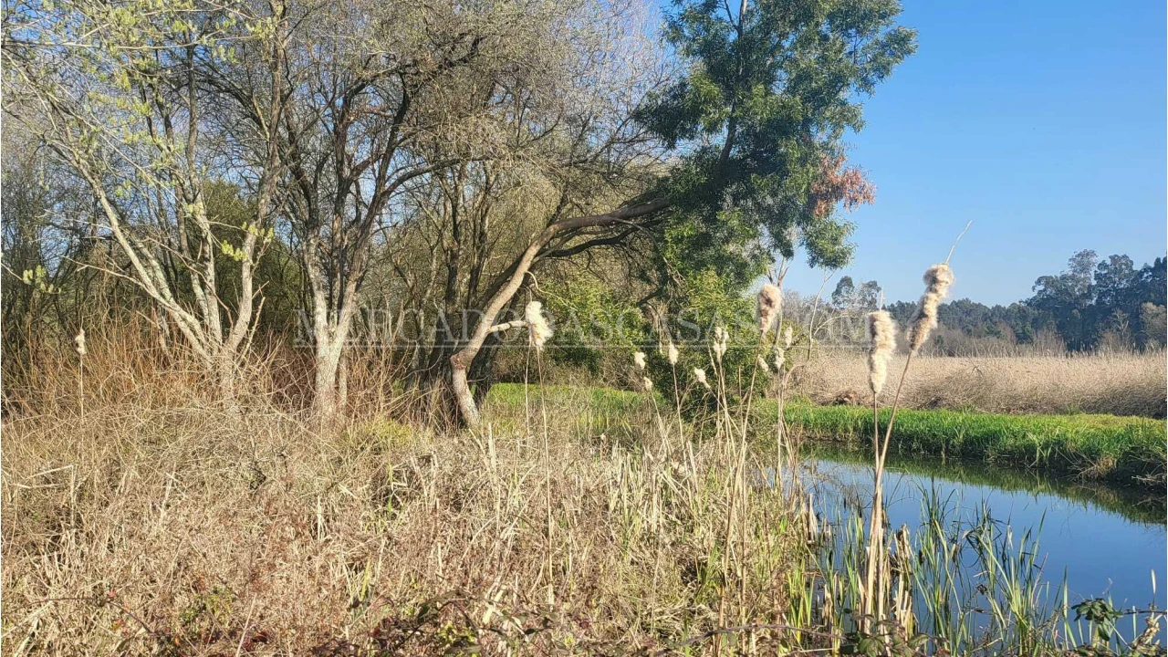 Quinta T2 para Venda em Valega Foto 13