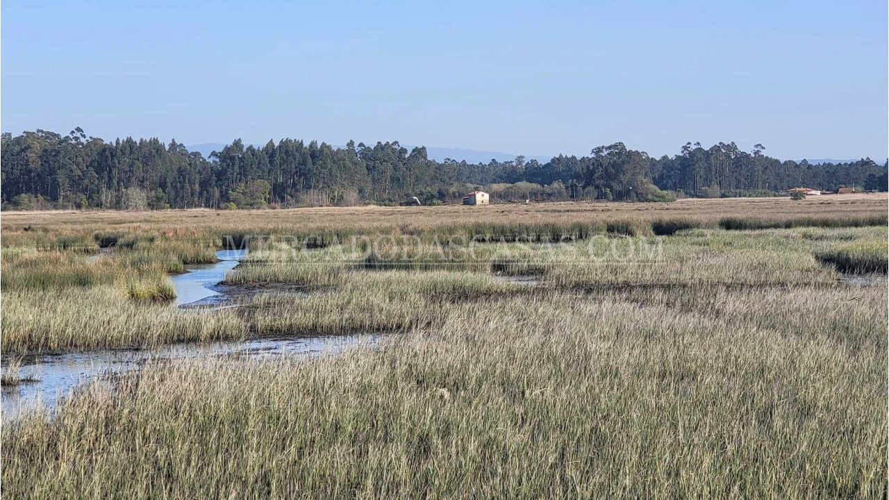 Quinta T2 para Venda em Valega Foto 1