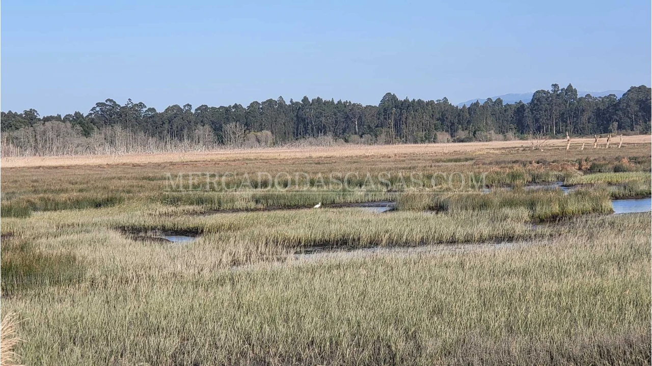 Quinta T2 para Venda em Valega Foto 6