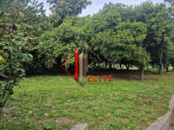 Terreno para Venda em Castanheira do Ribatejo e Cachoeiras