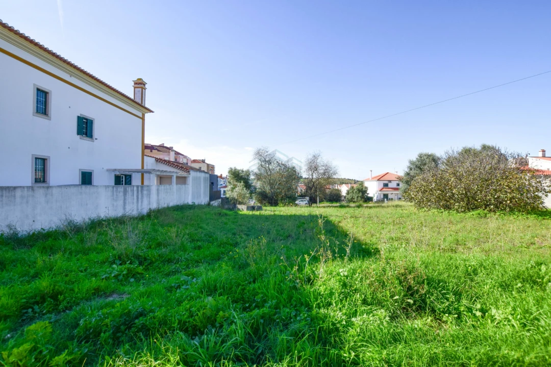 Terreno para Venda em Torres Novas (São Pedro), Lapas e Ribeira Branca Foto 6