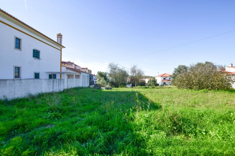 Terreno para Venda em Torres Novas (São Pedro), Lapas e Ribeira Branca Foto 6