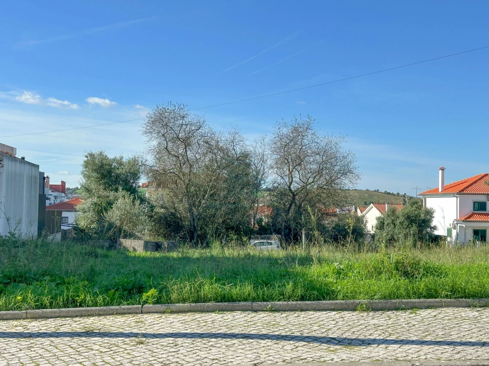 Terreno para Venda em Torres Novas (São Pedro), Lapas e Ribeira Branca Foto 5