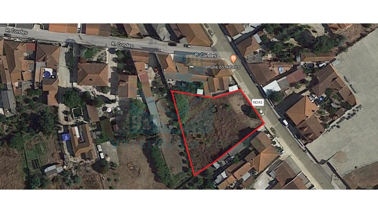 Terreno Misto para Venda em Riachos Foto 1