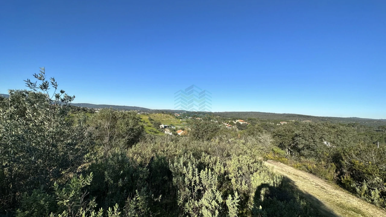 Terreno para Venda em Assentiz Foto 11