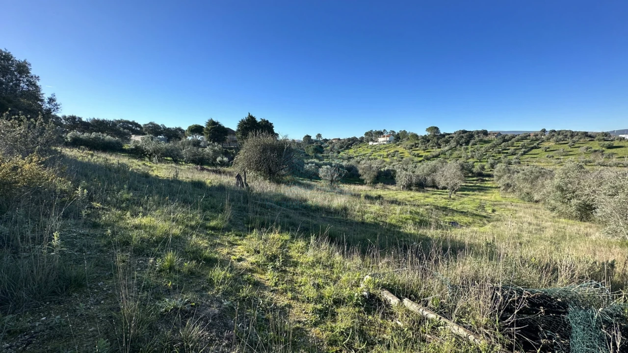 Terreno para Venda em Assentiz Foto 13